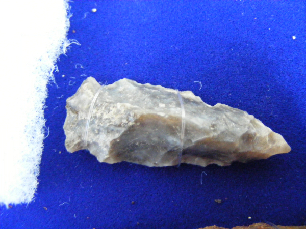 Indian arrowhead