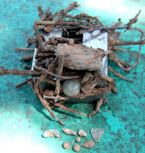 Nails and other items removed using a magnet. 
Photo by Glenn Limings